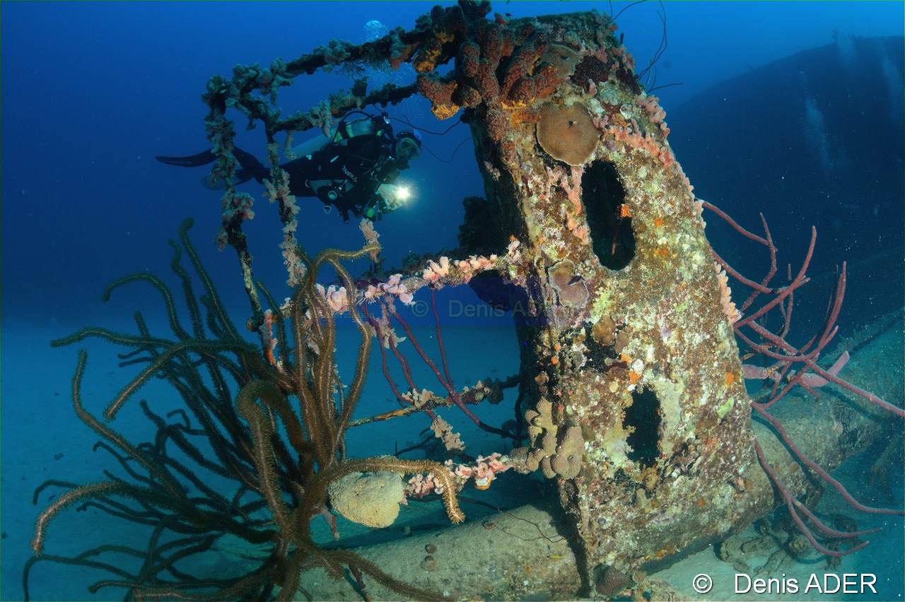 Ambiance Epave-Bonaire Hilma Hoocker-30m-20180220-Denis-ADER-DSC_6979_tn.jpg